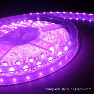 Low Price SMD Flexible LED Light 5050